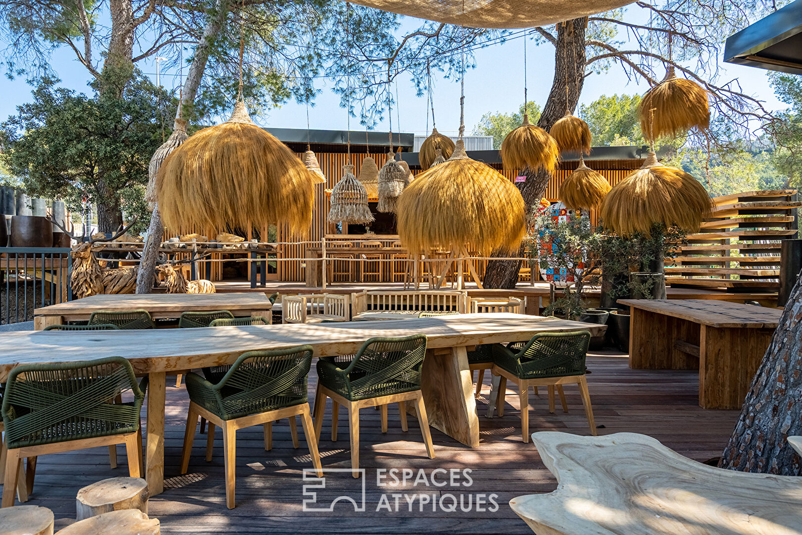 Space in natural and exotic wood