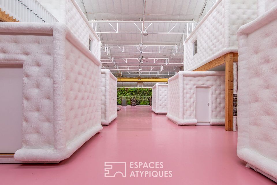 - Loft industriel rose avec mur végétal - Réf. 2115